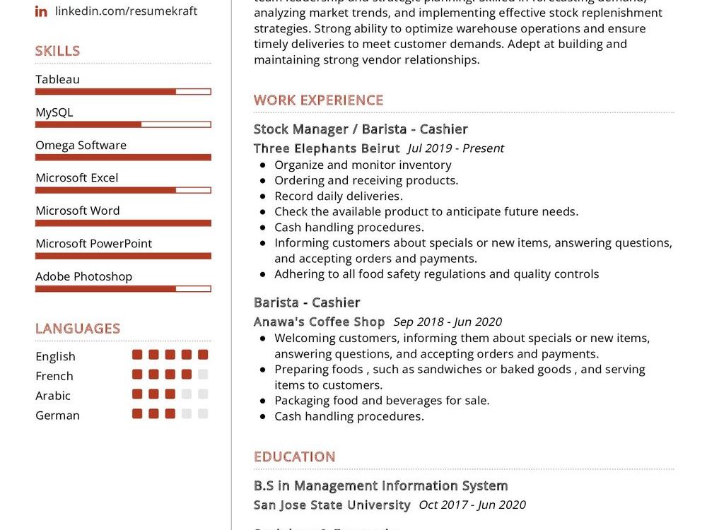 Stock Manager CV Example