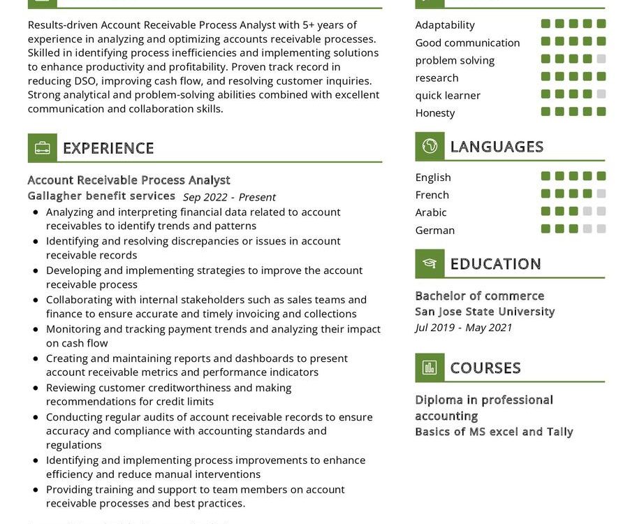 Account Receivable Process Analyst CV Example