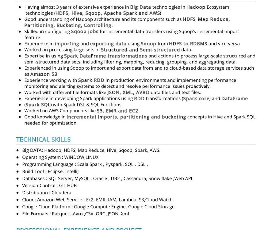 Big Data Engineer CV Sample