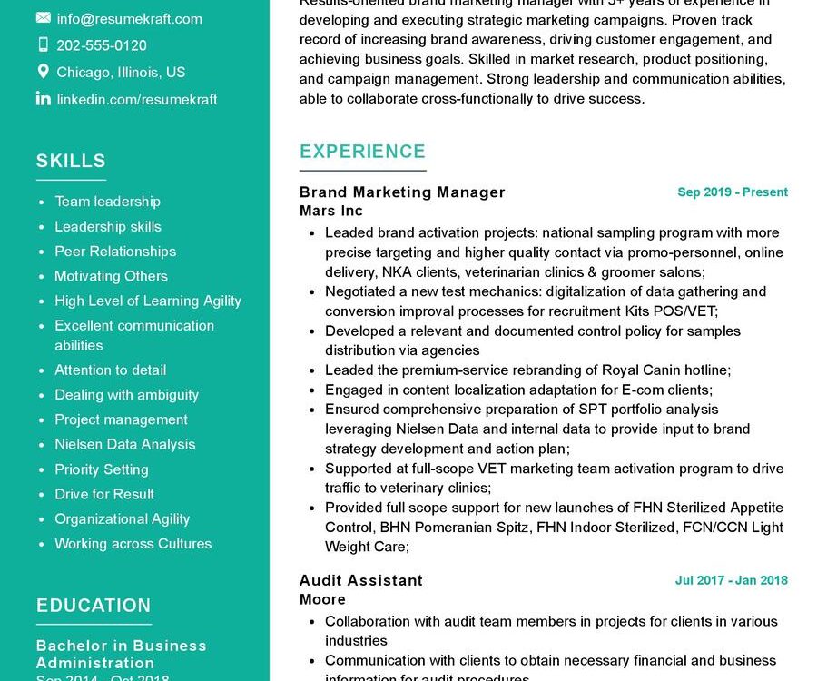 Brand Marketing Manager CV Example