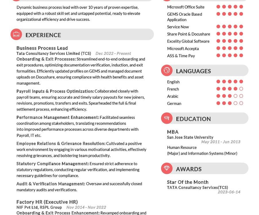 Business Process Lead CV Sample