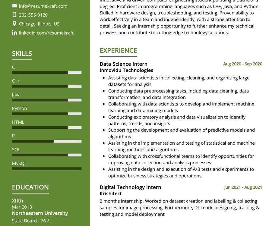 Computer Engineering Student CV Example