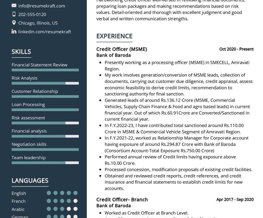 Credit Officer CV Example in 2024 - ResumeKraft