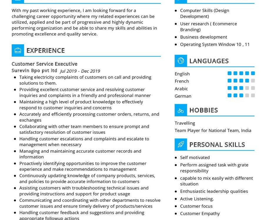 Customer Service Executive CV Example in 2024 - ResumeKraft