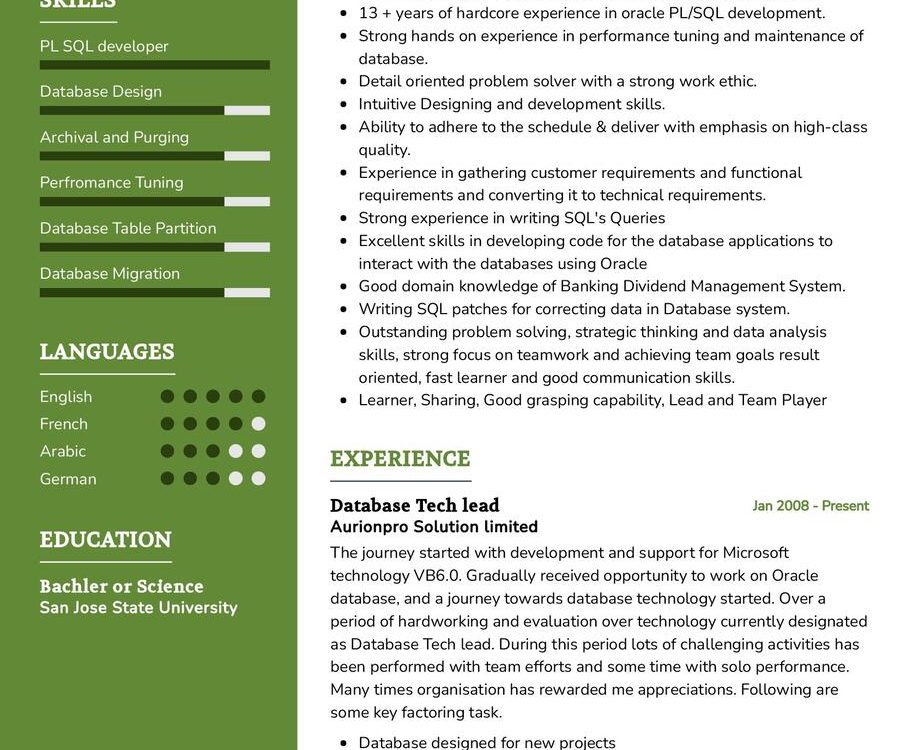 Data Base Tech Lead CV Example