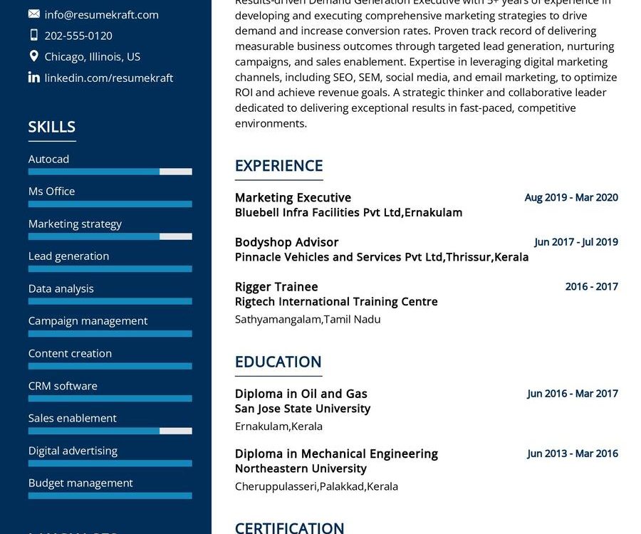 Demand Generation Executive CV Sample