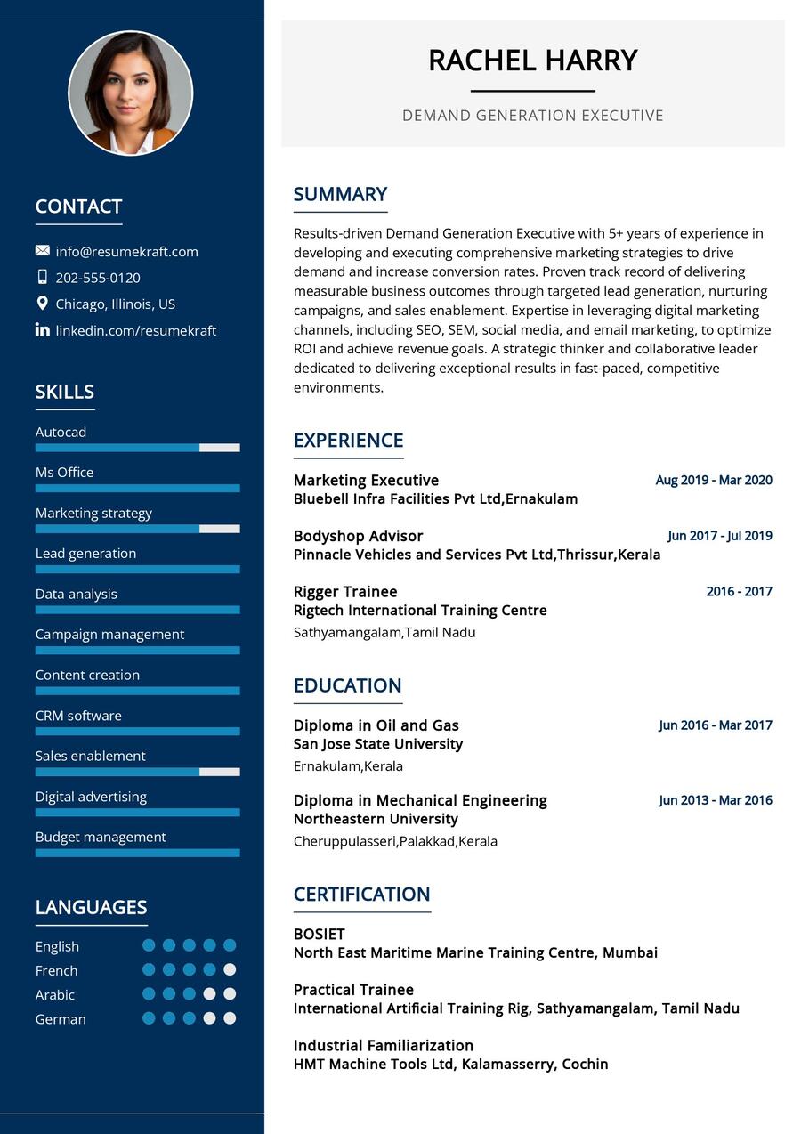 Demand Generation Executive CV Sample in 2024 - ResumeKraft