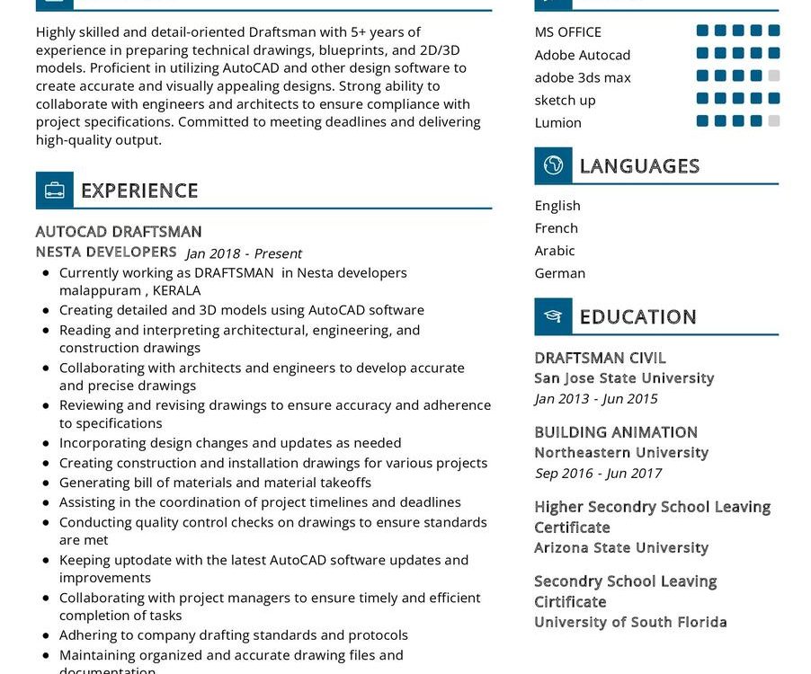 Draftsman CV Example