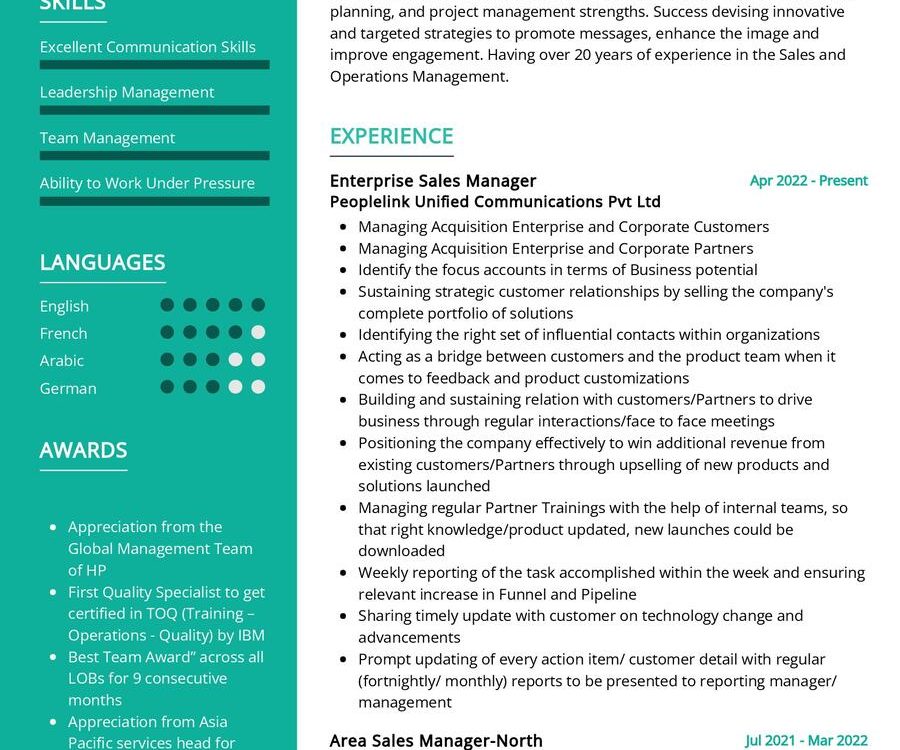 Enterprise Sales Manager CV Sample