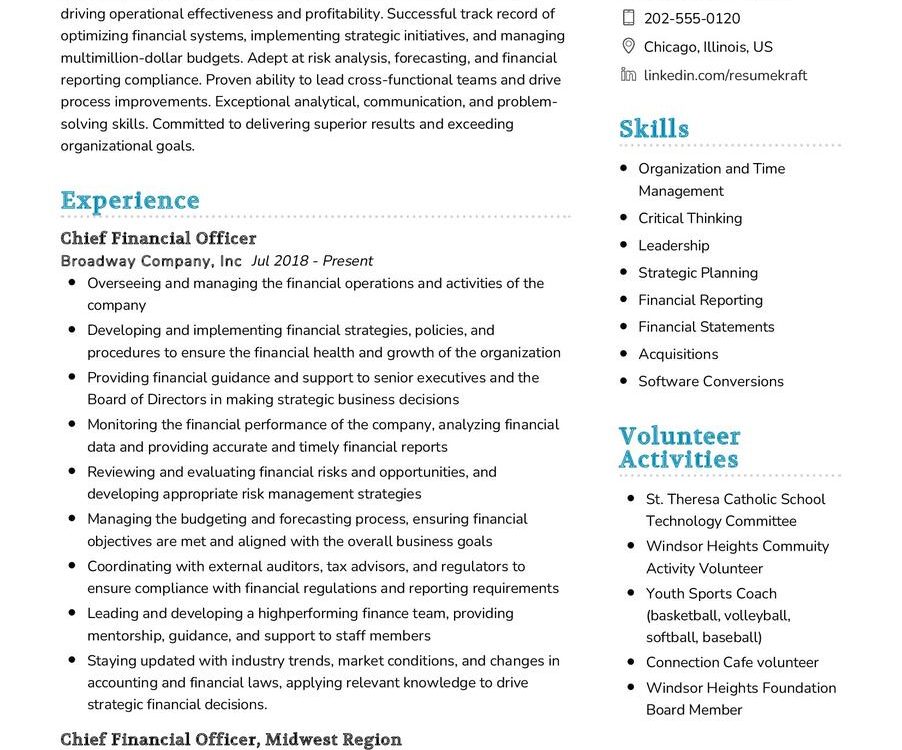 Finance And Accounting Professional CV Example In 2024 - ResumeKraft