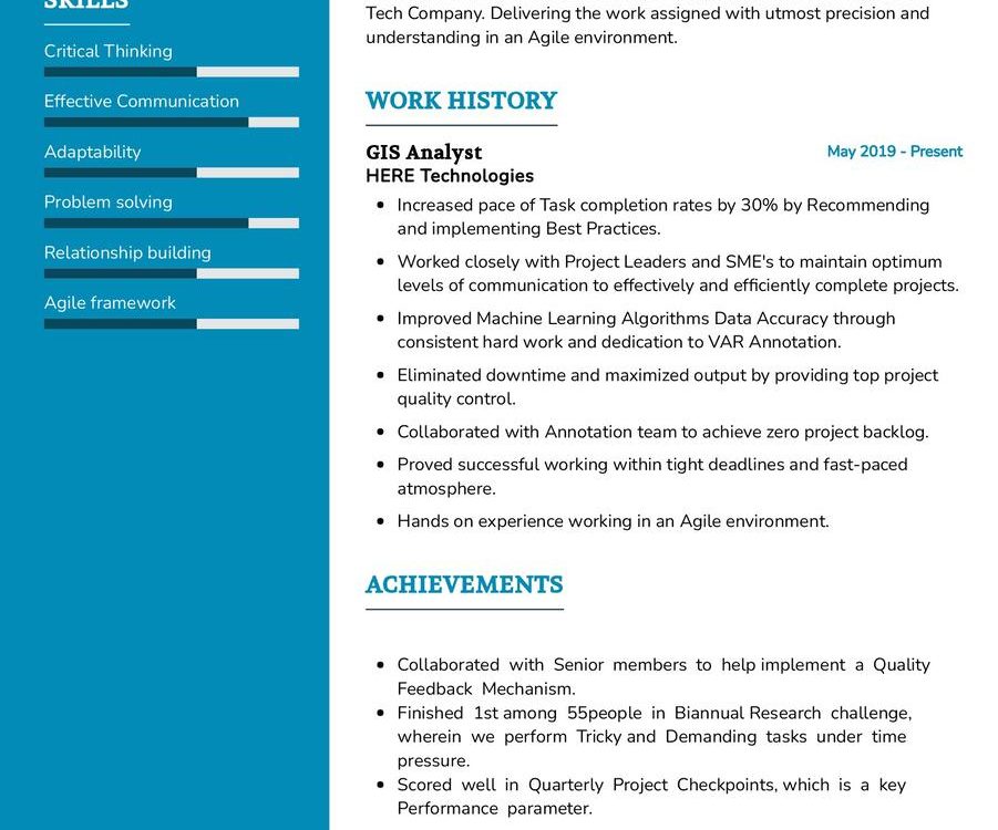 GIS Analyst CV Example