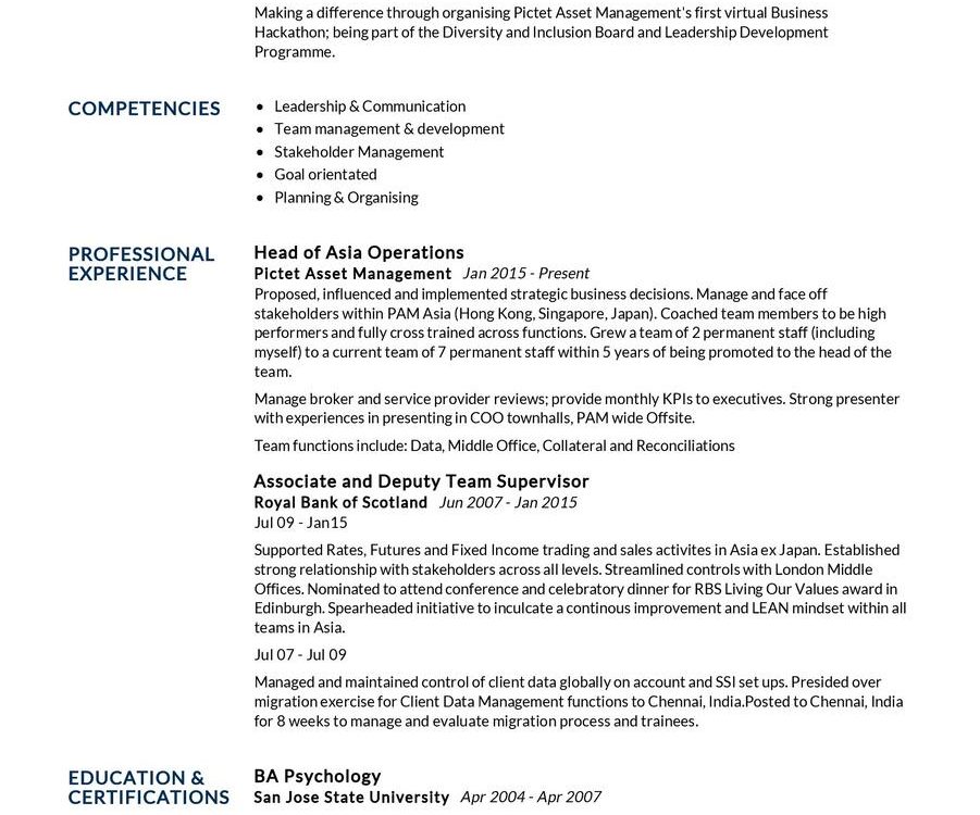 IS Project Manager CV Example