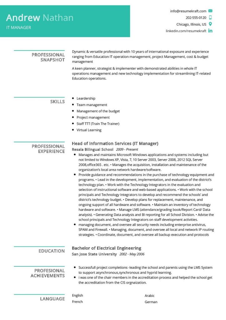 IT Manager CV Sample 723x1024 