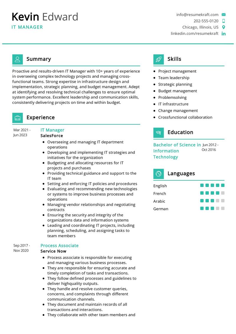 IT Manager Resume Sample