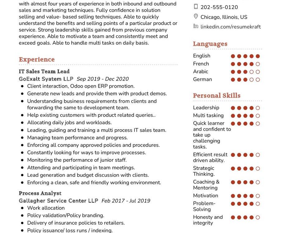 IT sales Lead CV Example