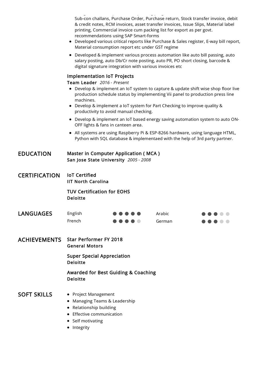 IT_SAP Professional CV Example in 2024 - ResumeKraft