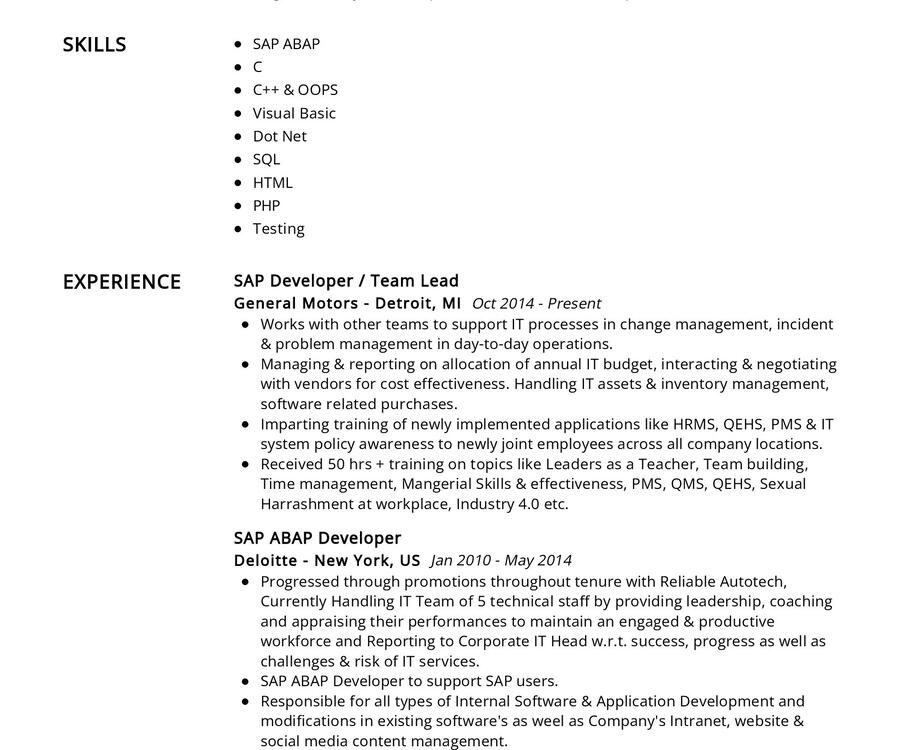 IT_SAP Professional CV Example 2024 | Writing Tips - ResumeKraft