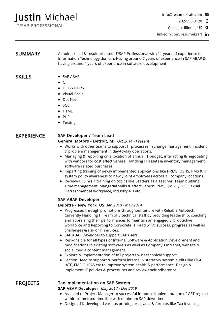 IT_SAP Professional CV Example in 2024 - ResumeKraft