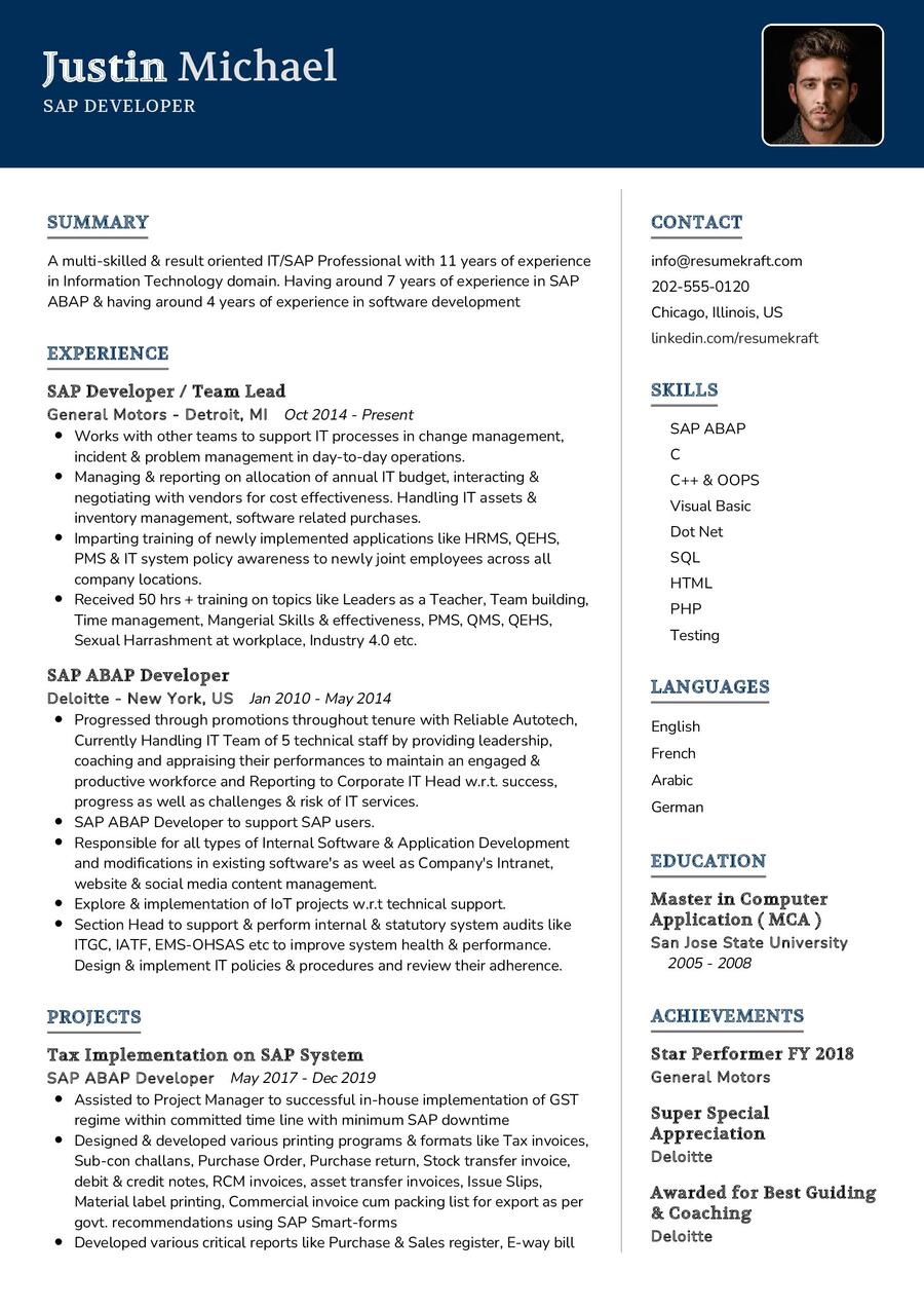 SAP Developer CV Sample in 2024 - ResumeKraft