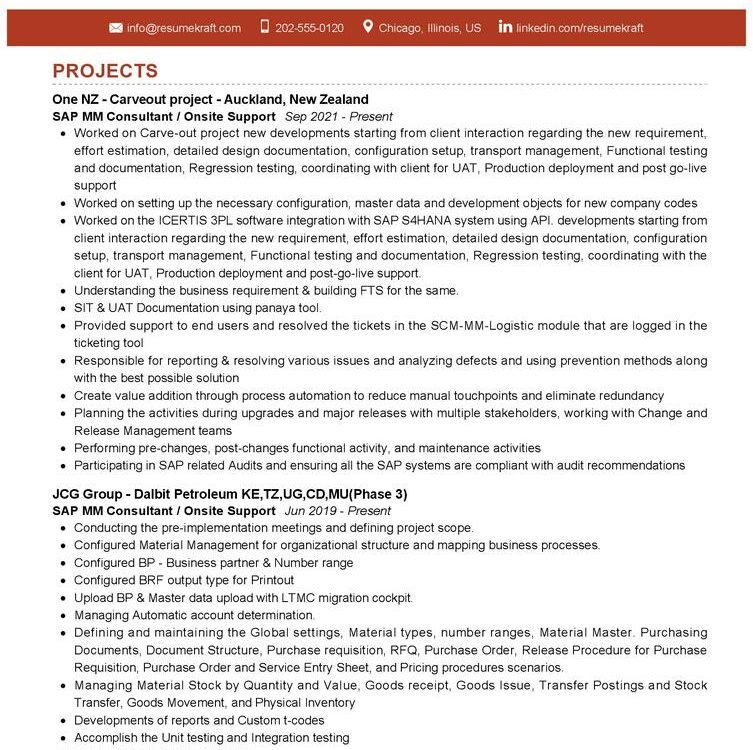 IT_SAP Professional CV Sample