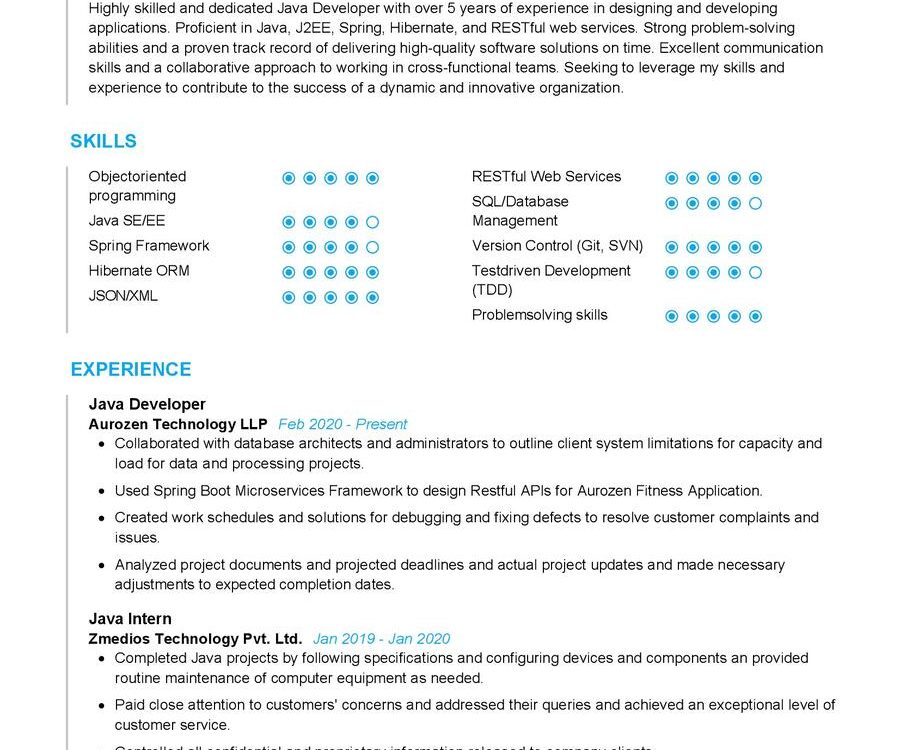 Java Developer CV Sample in 2024 - ResumeKraft