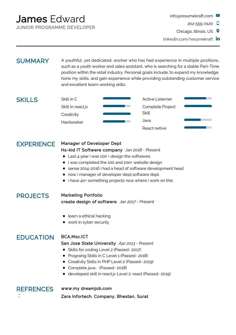 Junior Programmer Developer CV Example in 2024 - ResumeKraft
