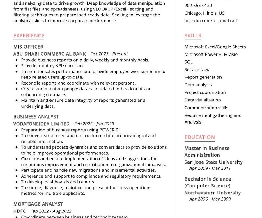 MIS Officer CV Sample