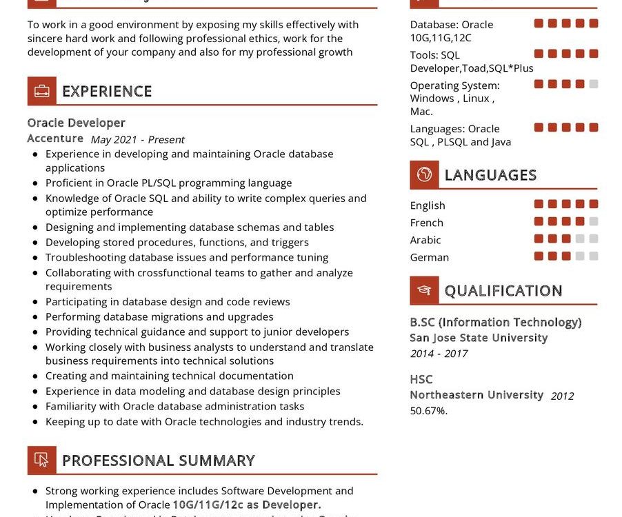 Oracle Developer CV Sample