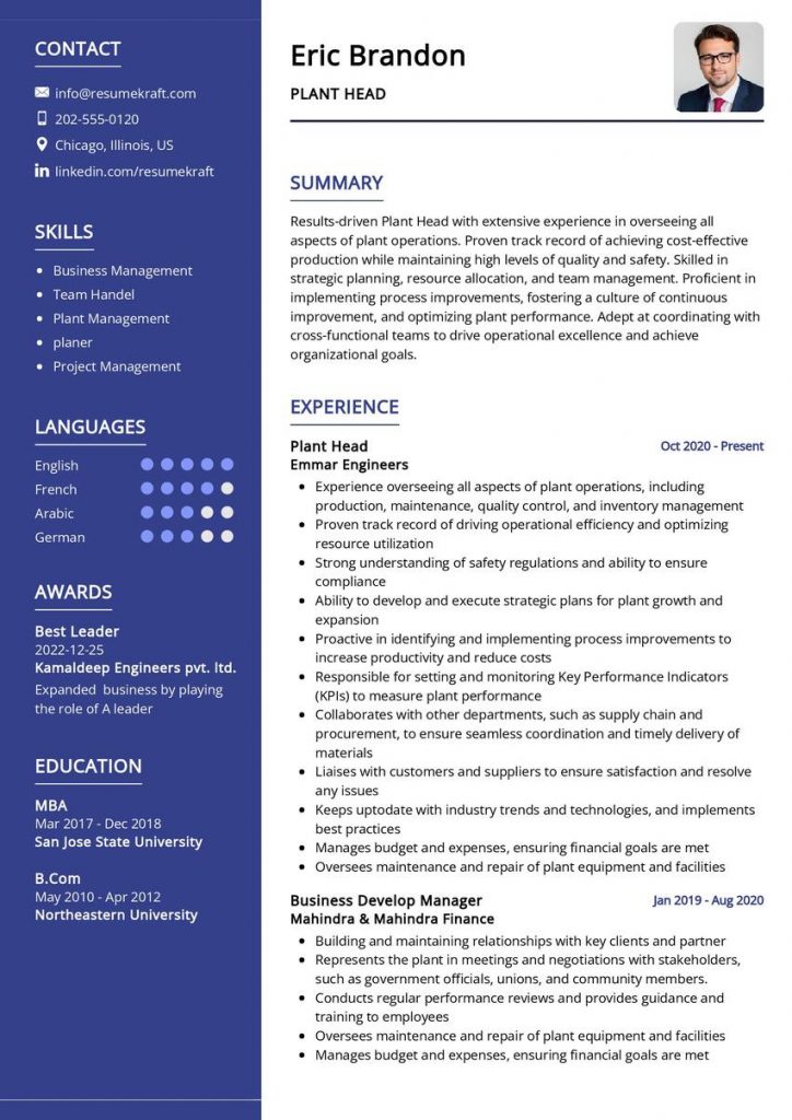 2200+ Professional Resume Samples in 2024 | ResumeKraft