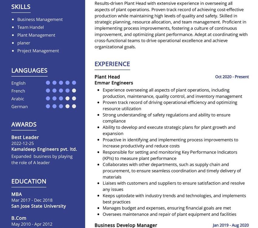 Plant Head CV Sample in 2024 - ResumeKraft