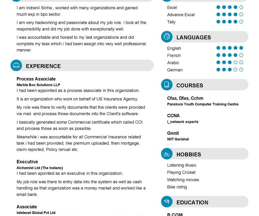 Process Associate CV Sample in 2024 - ResumeKraft