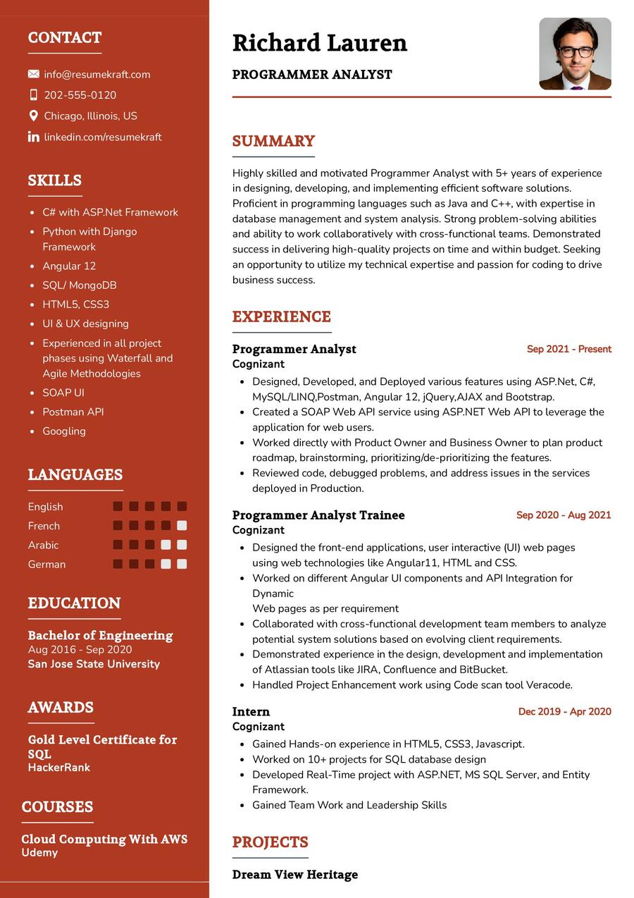 Programmer Analyst CV Example In 2024 ResumeKraft   Programmer Analyst CV Example 2 