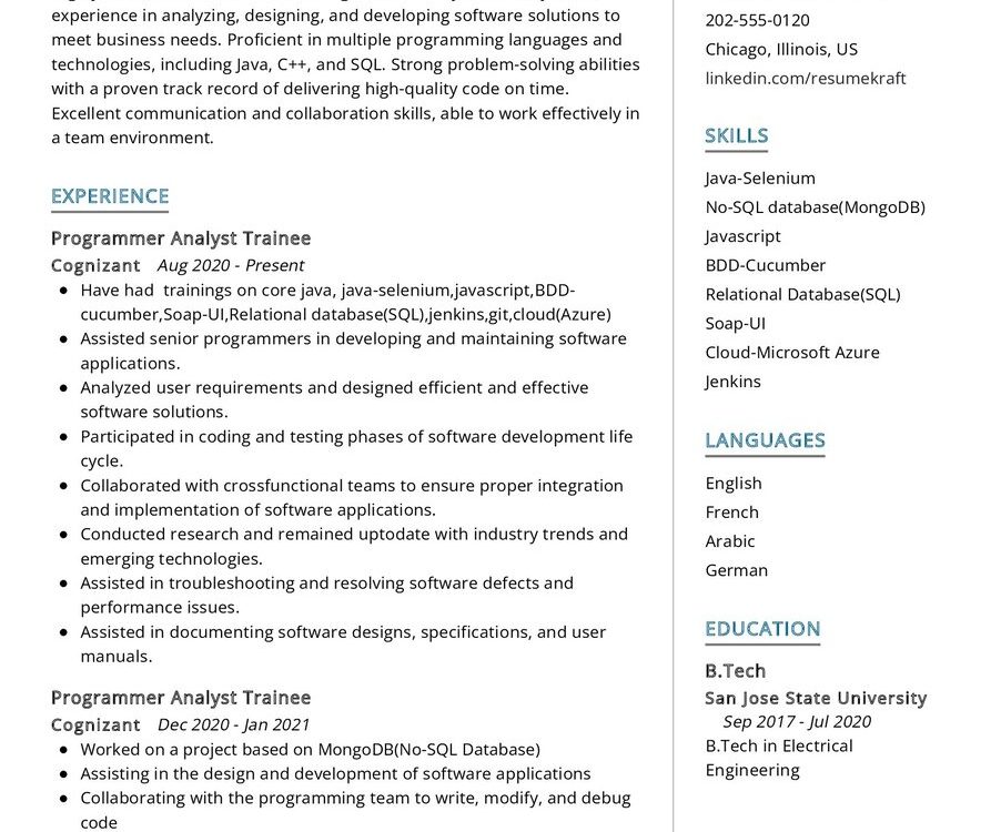 Programmer Analyst CV Example In 2024 ResumeKraft   Programmer Analyst CV Example 902x750 