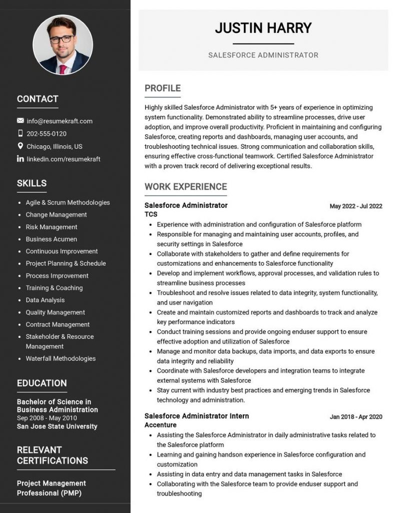 2200+ Professional Resume Samples in 2024 | ResumeKraft