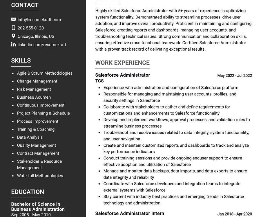 Project Management Professional CV Sample