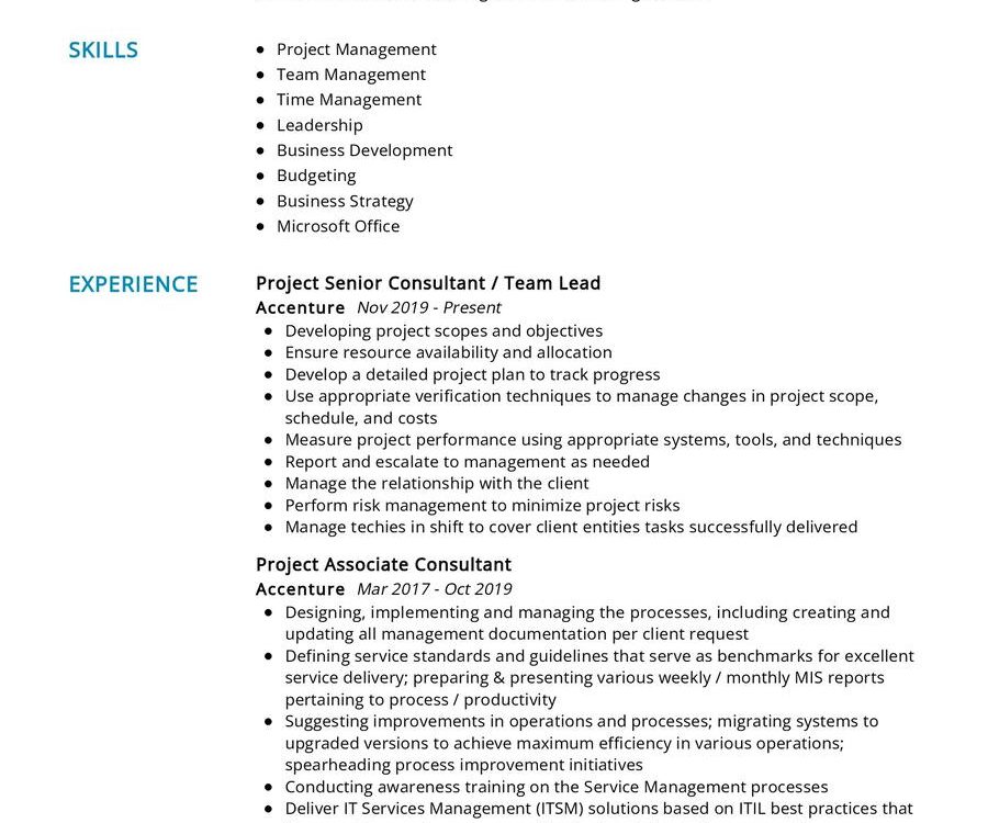 Project Manager CV Sample in 2024 - ResumeKraft