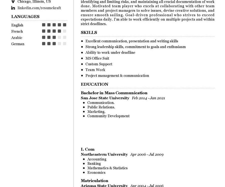 Project Officer CV Sample