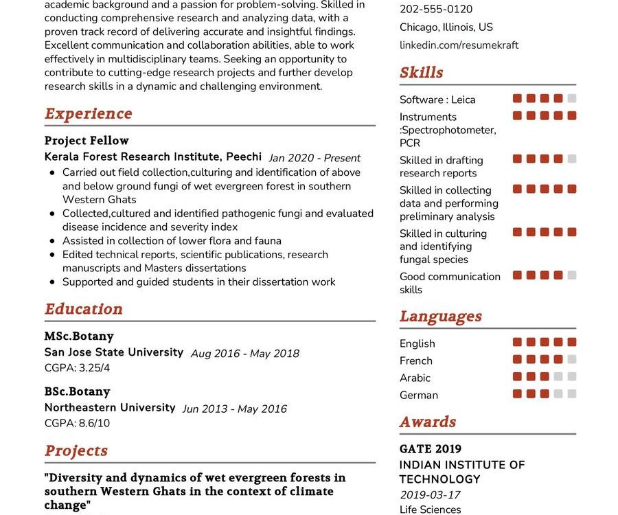 Research Student CV Example