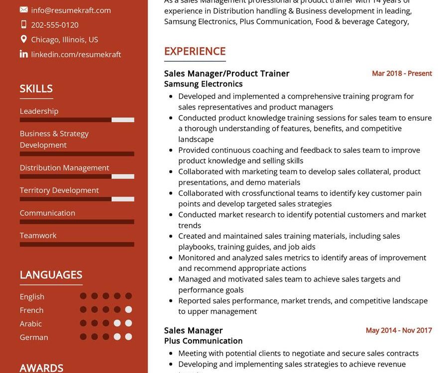 Sales Manager CV Example In 2024 ResumeKraft   Sales Manager CV Example 900x750 