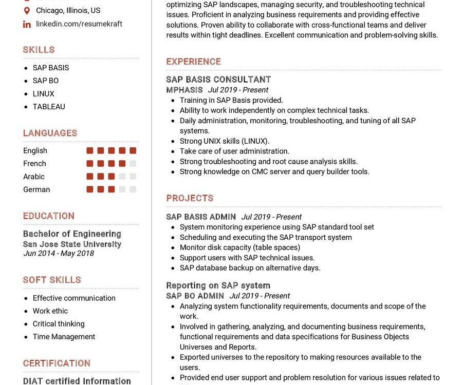 SAP Basis Consultant CV Sample