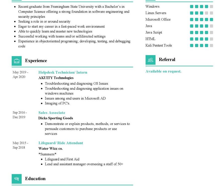 Security & Software Developer CV Example