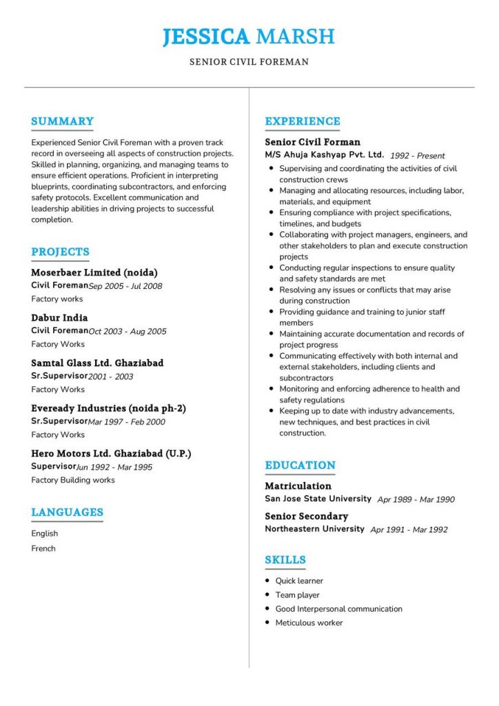 CV Samples - Page 20 of 59 in 2024 - ResumeKraft