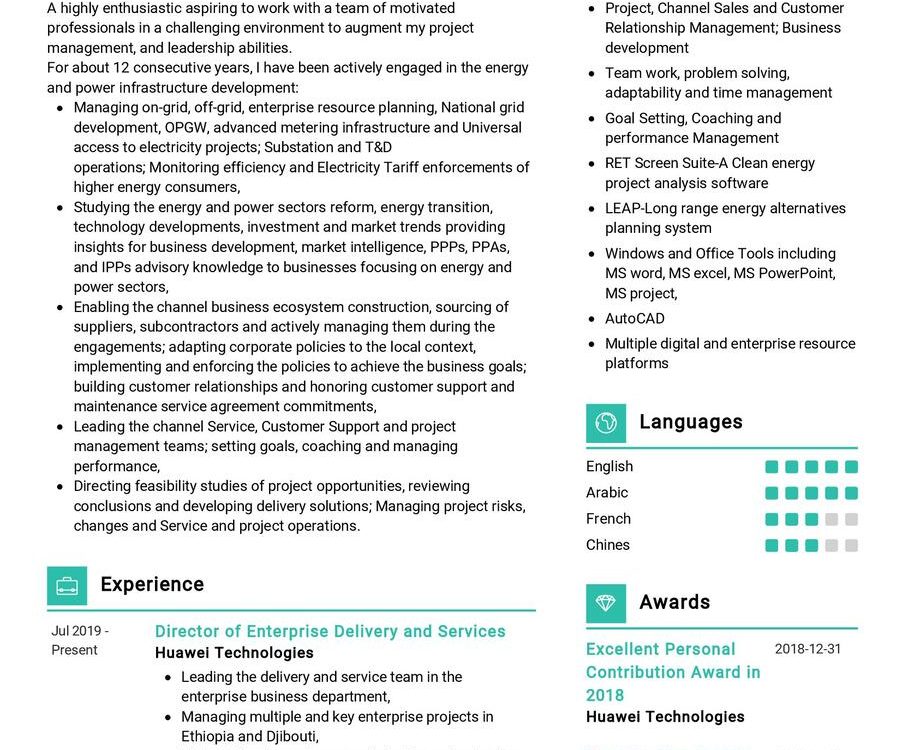 Senior Project Manager CV Sample