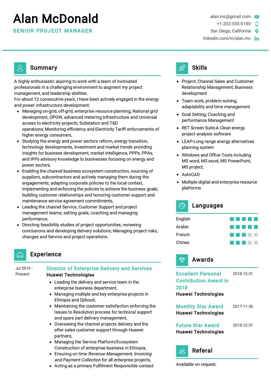 Senior Project Manager CV Sample