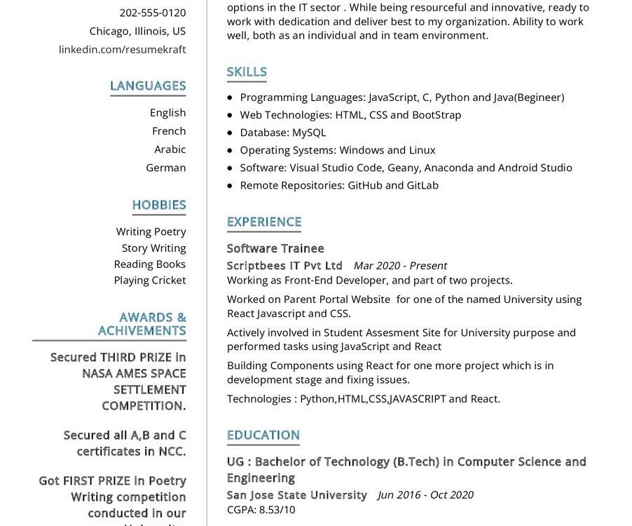 Software Developer Trainee CV Example