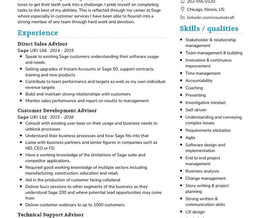 Solution Designer CV Sample