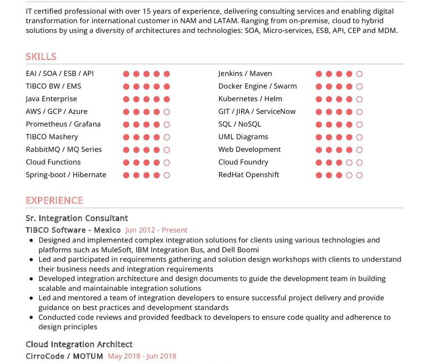 Sr. Integration Consultant CV Example in 2024 - ResumeKraft