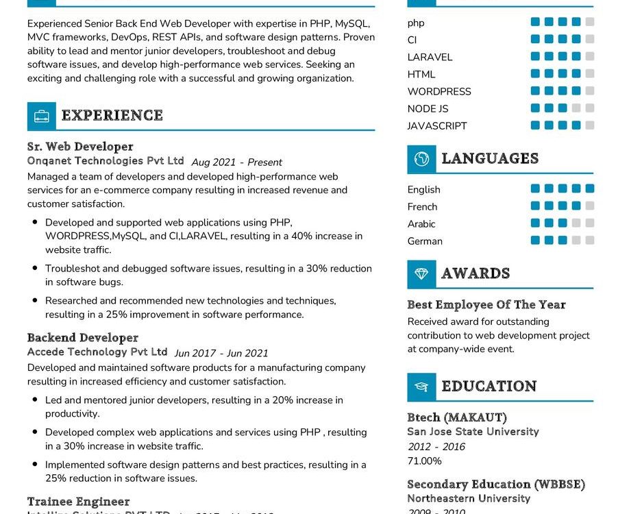 Sr. Web Developer CV Example