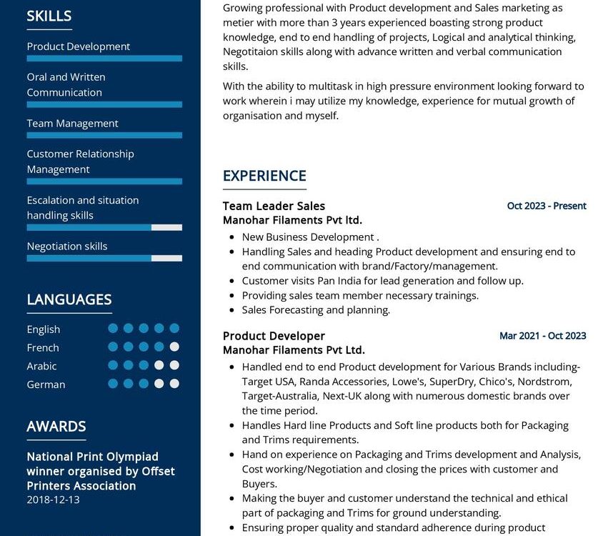 Team Leader Sales and Marketing CV Example