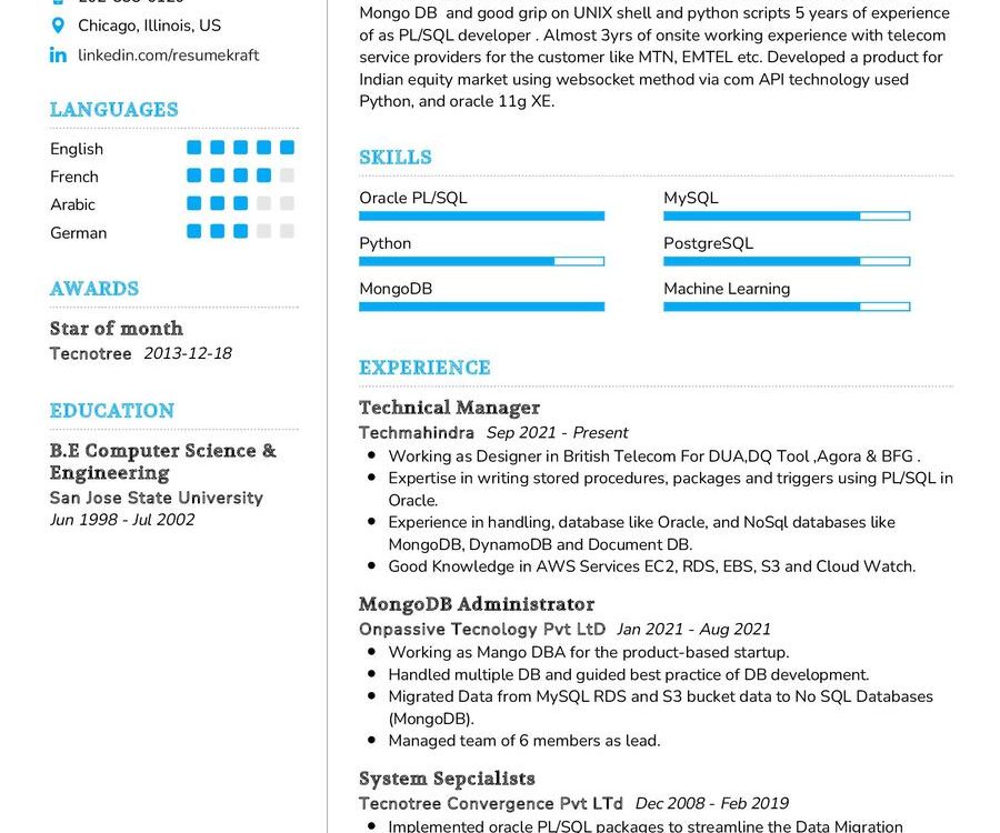 Technical Manager CV Example in 2024 - ResumeKraft